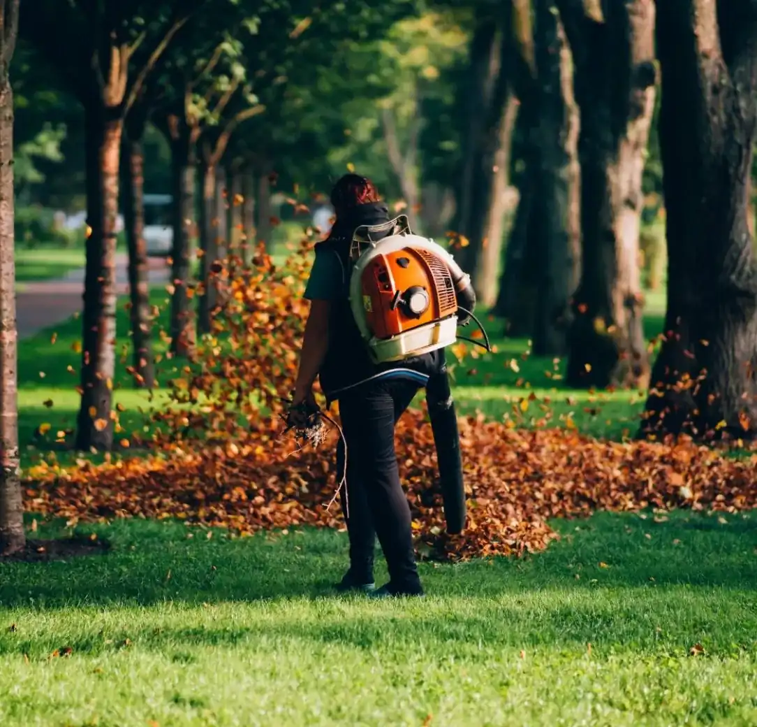 lawn care